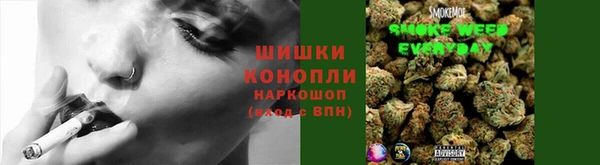 винт Бородино