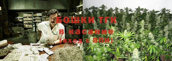 винт Бородино