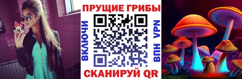 Псилоцибиновые грибы GOLDEN TEACHER  МЕГА ссылки  Кондопога 