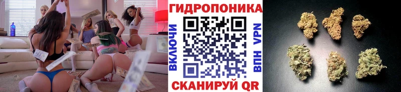 Канабис Bruce Banner  Кондопога 